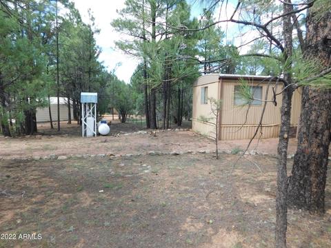 2881 Wahoo Rd, Overgaard, AZ 85933 photo 1