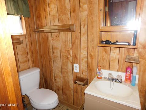 2881 Wahoo Rd, Overgaard, AZ 85933 photo 26