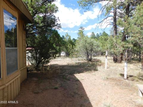 2881 Wahoo Rd, Overgaard, AZ 85933 photo 4
