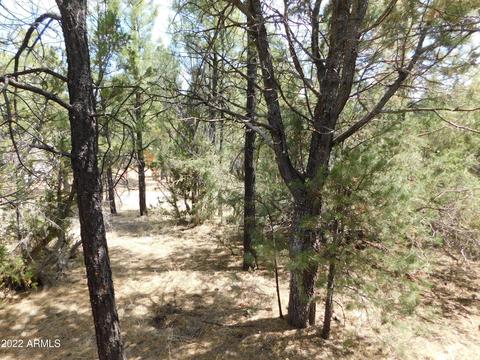 2881 Wahoo Rd, Overgaard, AZ 85933 photo 28