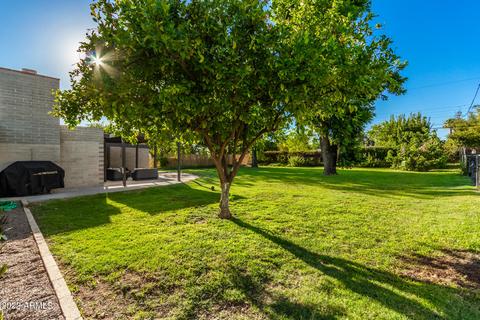 3316 E Mitchell Dr, Phoenix, AZ 85018 photo 52