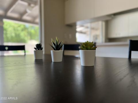 122 E Voltaire Ave, Phoenix, AZ 85022 photo 13