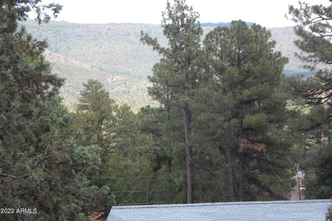 3172 N Jan Trl, Pine, AZ 85544 photo 14