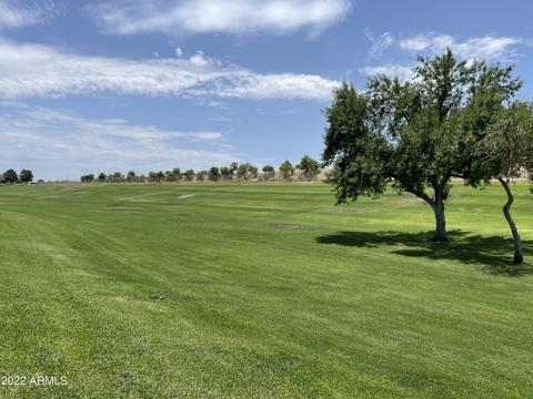 19 E Hampton Ave, Mesa, AZ 85210 photo 15