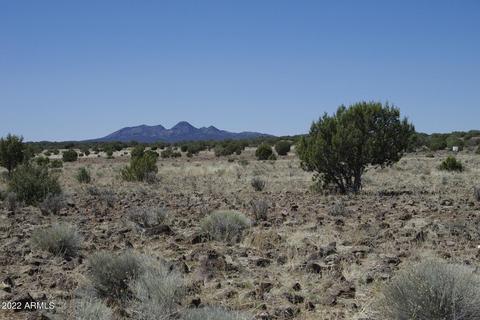 8597 Cortez Ranch Rd #-, Ash Fork, AZ 86320 photo 23