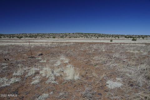 8597 Cortez Ranch Rd #-, Ash Fork, AZ 86320 photo 13