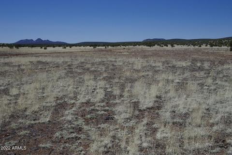 8597 Cortez Ranch Rd #-, Ash Fork, AZ 86320 photo 31