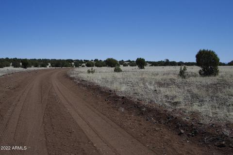 8597 Cortez Ranch Rd #-, Ash Fork, AZ 86320 photo 2