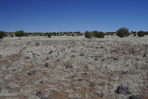 8597 Cortez Ranch Rd #-, Ash Fork, AZ 86320 photo 17