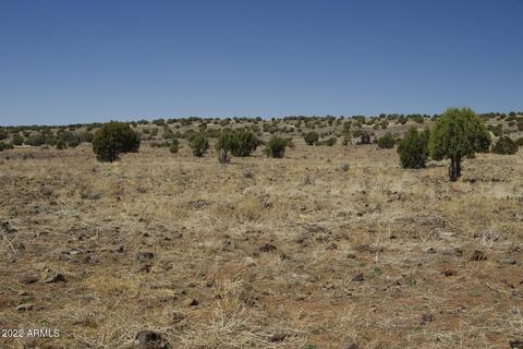8597 Cortez Ranch Rd #-, Ash Fork, AZ 86320 photo 27