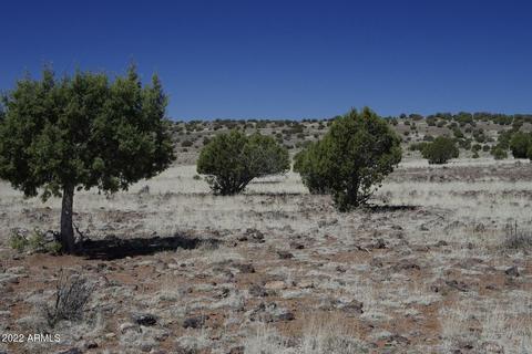 8597 Cortez Ranch Rd #-, Ash Fork, AZ 86320 photo 7
