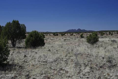 8597 Cortez Ranch Rd #-, Ash Fork, AZ 86320 photo 22