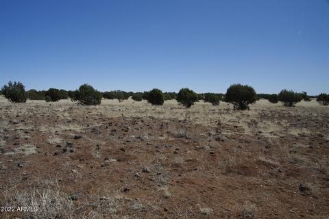 8597 Cortez Ranch Rd #-, Ash Fork, AZ 86320 photo 16