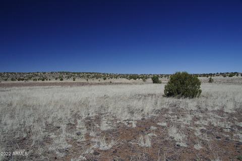 8597 Cortez Ranch Rd #-, Ash Fork, AZ 86320 photo 15