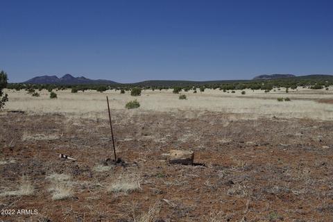8597 Cortez Ranch Rd #-, Ash Fork, AZ 86320 photo 12