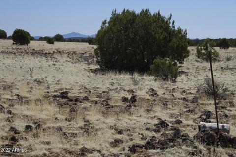 8597 Cortez Ranch Rd #-, Ash Fork, AZ 86320 photo 9