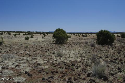 8597 Cortez Ranch Rd #-, Ash Fork, AZ 86320 photo 25