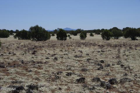 8597 Cortez Ranch Rd #-, Ash Fork, AZ 86320 photo 8