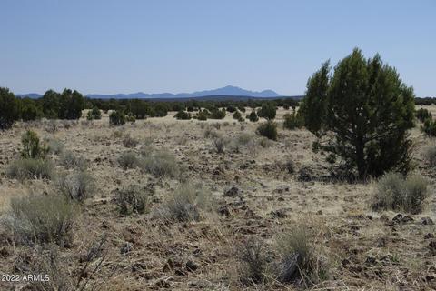 8597 Cortez Ranch Rd #-, Ash Fork, AZ 86320 photo 24