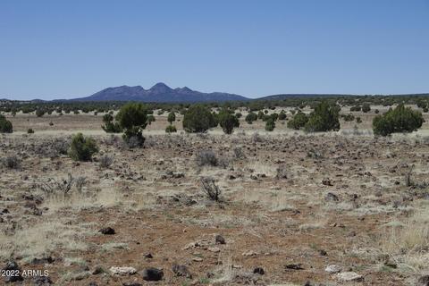8597 Cortez Ranch Rd #-, Ash Fork, AZ 86320 photo 21