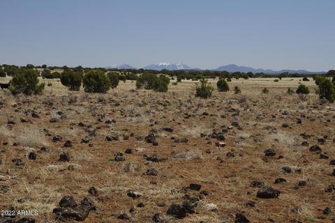 8597 Cortez Ranch Rd #-, Ash Fork, AZ 86320 photo 6