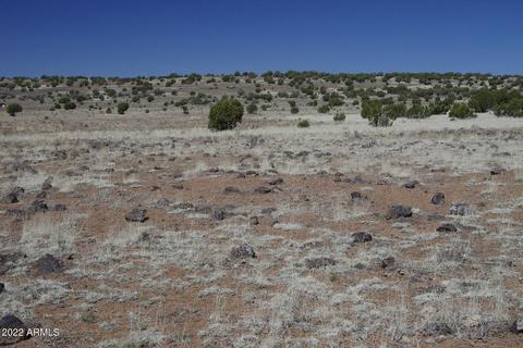 8597 Cortez Ranch Rd #-, Ash Fork, AZ 86320 photo 18