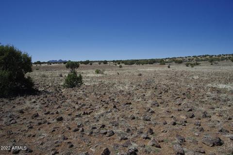 8597 Cortez Ranch Rd #-, Ash Fork, AZ 86320 photo 26