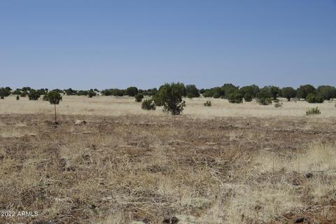 8597 Cortez Ranch Rd #-, Ash Fork, AZ 86320 photo 11