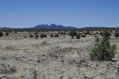 8597 Cortez Ranch Rd #-, Ash Fork, AZ 86320 photo 20