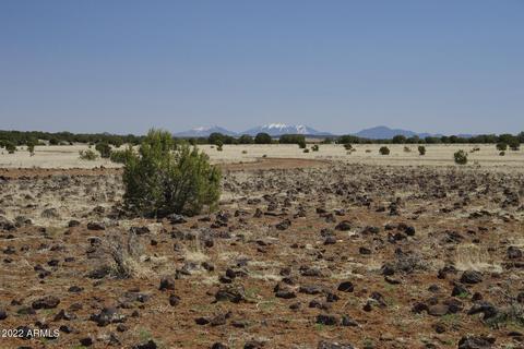 8597 Cortez Ranch Rd #-, Ash Fork, AZ 86320 photo 29