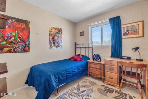 1008 E Desert Ln, Phoenix, AZ 85042 photo 14