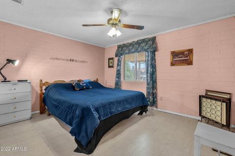 1008 E Desert Ln, Phoenix, AZ 85042 photo 11