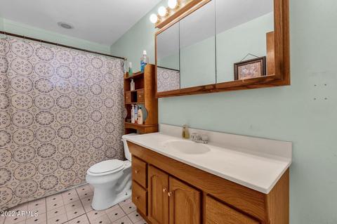 1008 E Desert Ln, Phoenix, AZ 85042 photo 13