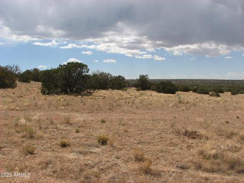 Sec 18 T14n,r17e -- #002, Heber, AZ 85928