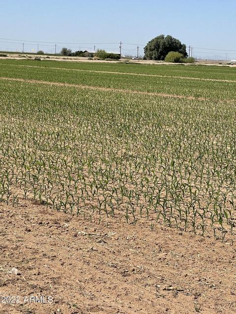 lot N A N Clemans Rd #A, Coolidge, AZ 85128