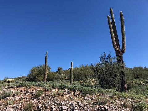 3863 S Avenida De Angeles -- #103, Gold Canyon, AZ 85118