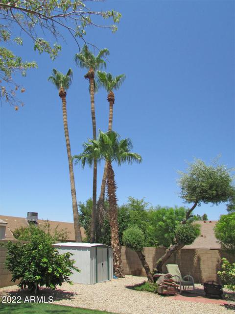 4220 E Douglas Ave, Gilbert, AZ 85234 photo 38