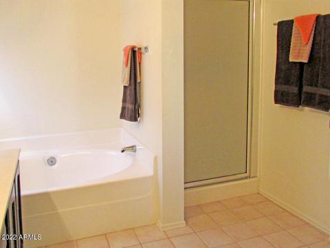 4220 E Douglas Ave, Gilbert, AZ 85234 photo 29