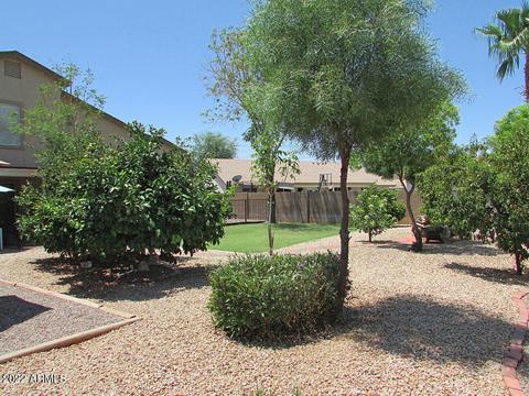 4220 E Douglas Ave, Gilbert, AZ 85234 photo 4
