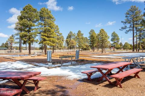 2712 Rustlers Roost Rd, Overgaard, AZ 85933 photo 22