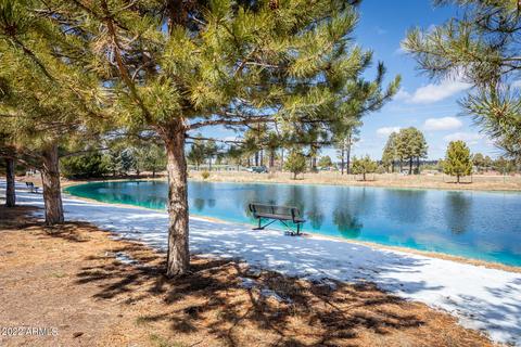2712 Rustlers Roost Rd, Overgaard, AZ 85933 photo 28
