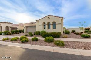 10258 E Ampere Ave, Mesa, AZ 85212 photo 37