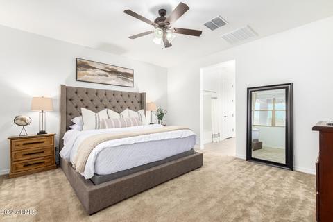8229 E Jan Ave, Mesa, AZ 85209 photo 21