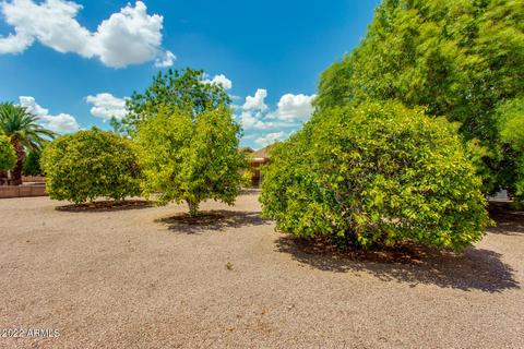 7831 E Lindner Ave, Mesa, AZ 85209 photo 39