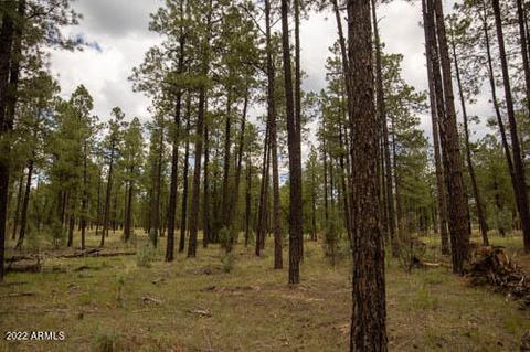 tbd 3 Acres Off Wyoming Ln #'-', Lakeside, AZ 85929