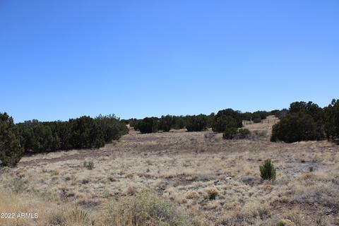 2500 Rock View Dr #17, Show Low, AZ 85901