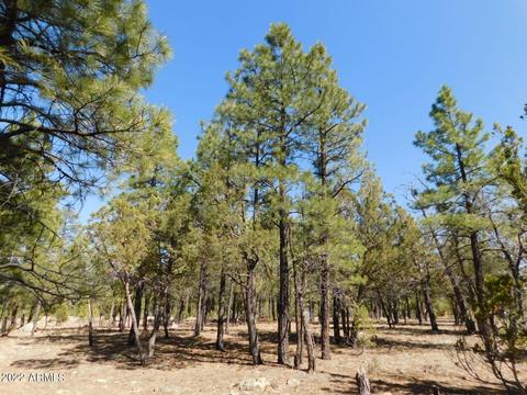 2178 Aztec Cir #169, Happy Jack, AZ 86024