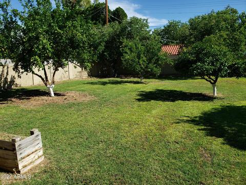 337 E Orange Dr, Phoenix, AZ 85012 photo 21
