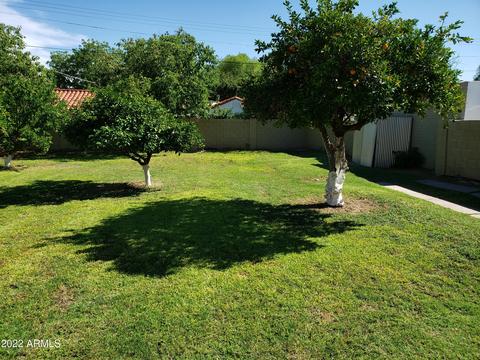 337 E Orange Dr, Phoenix, AZ 85012 photo 22