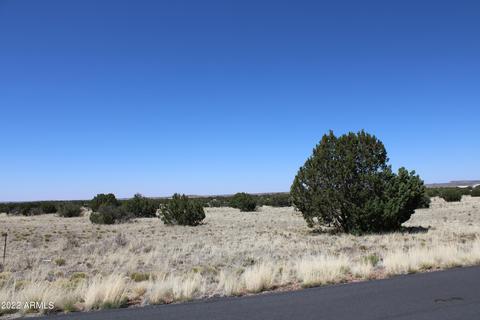 7668 Arroyo Plata Dr #9, Show Low, AZ 85901